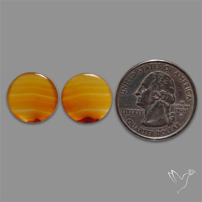 Montana Agate Pair