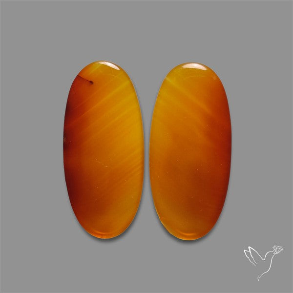 Montana Agate Pair
