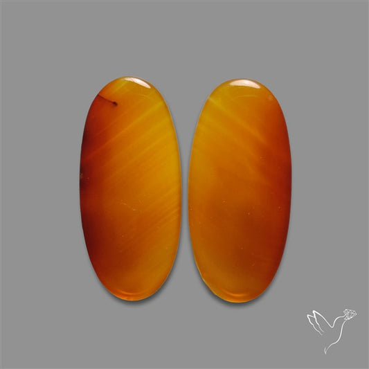 Montana Agate Pair