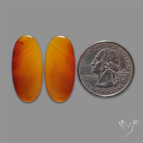 Montana Agate Pair