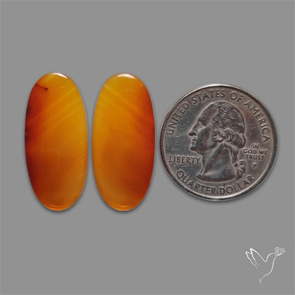 Montana Agate Pair