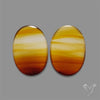 Montana Agate Pair