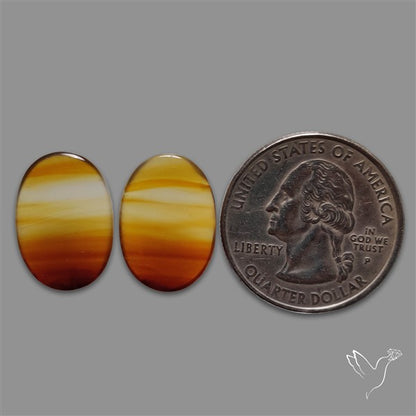 Montana Agate Pair
