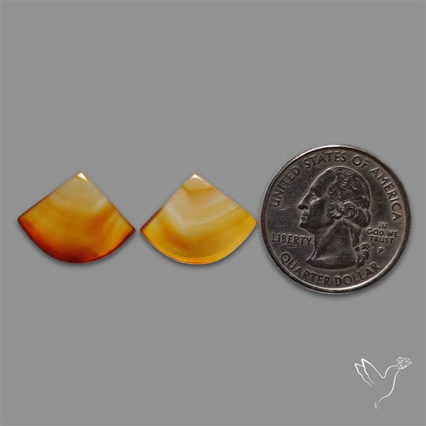 Montana Agate Pair