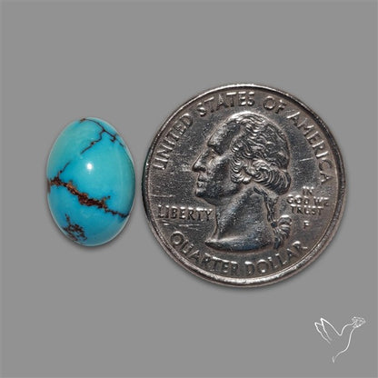 Rare Egyptian Turquoise Cabochon from Sinai Peninsula