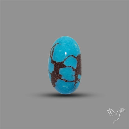Rare Egyptian Turquoise Cabochon from Sinai Peninsula