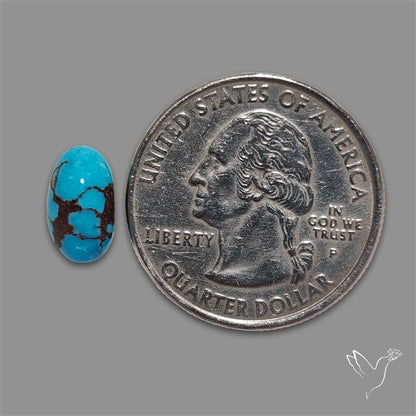 Rare Egyptian Turquoise Cabochon from Sinai Peninsula