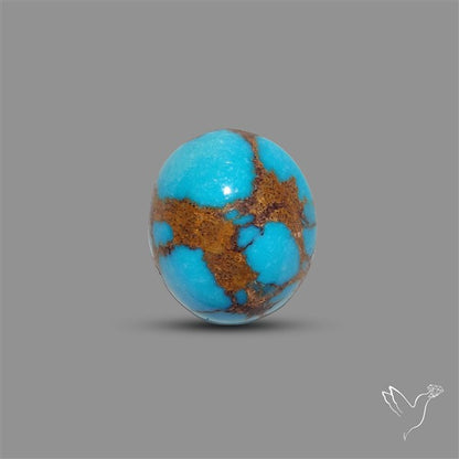 Rare Egyptian Turquoise Cabochon from Sinai Peninsula