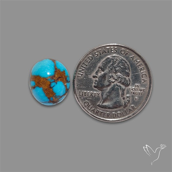 Rare Egyptian Turquoise Cabochon from Sinai Peninsula