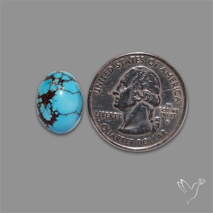 Rare Egyptian Turquoise Cabochon from Sinai Peninsula