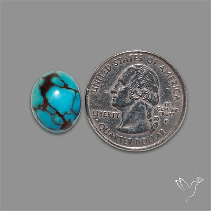 Rare Egyptian Turquoise Cabochon from Sinai Peninsula