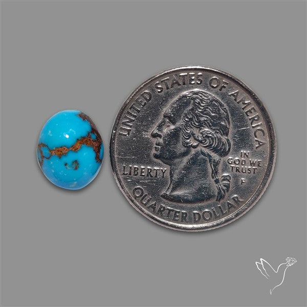 Rare Egyptian Turquoise Cabochon from Sinai Peninsula