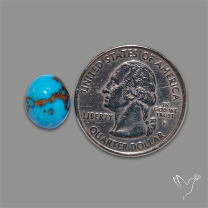Rare Egyptian Turquoise Cabochon from Sinai Peninsula