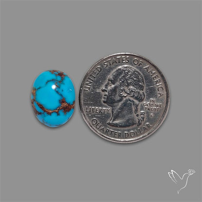 Rare Egyptian Turquoise Cabochon from Sinai Peninsula