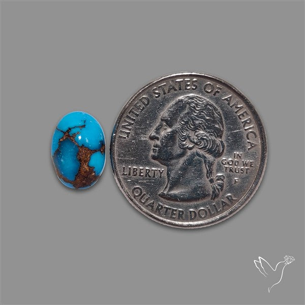 Rare Egyptian Turquoise Cabochon from Sinai Peninsula