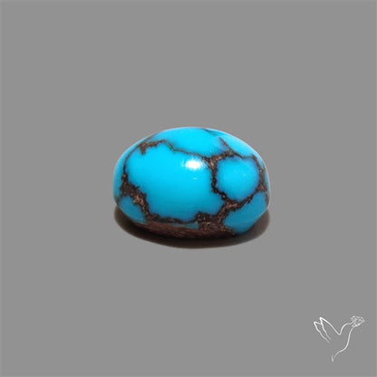 Rare Egyptian Turquoise Cabochon from Sinai Peninsula