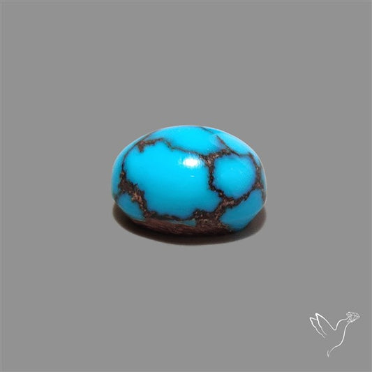 Rare Egyptian Turquoise Cabochon from Sinai Peninsula