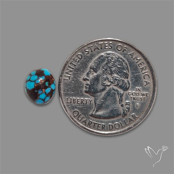 Rare Egyptian Turquoise Cabochon from Sinai Peninsula