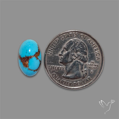 Rare Egyptian Turquoise Cabochon from Sinai Peninsula
