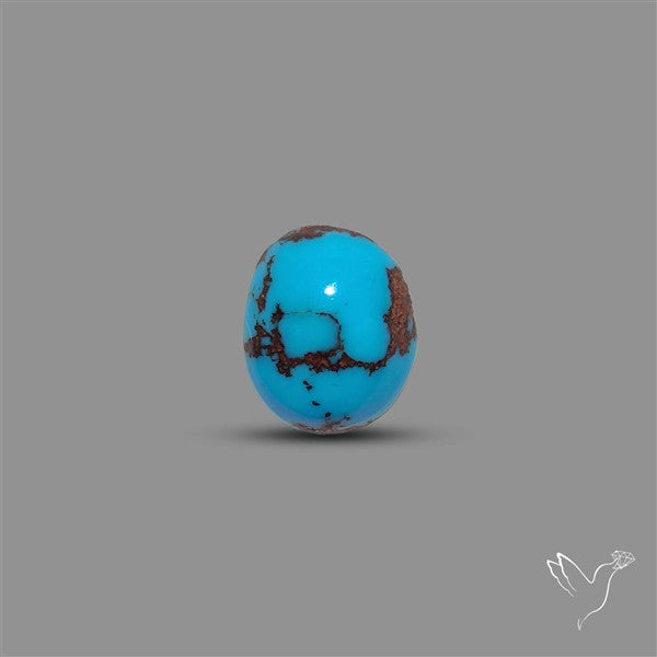 Rare Egyptian Turquoise Cabochon from Sinai Peninsula
