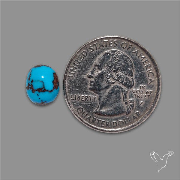 Rare Egyptian Turquoise Cabochon from Sinai Peninsula