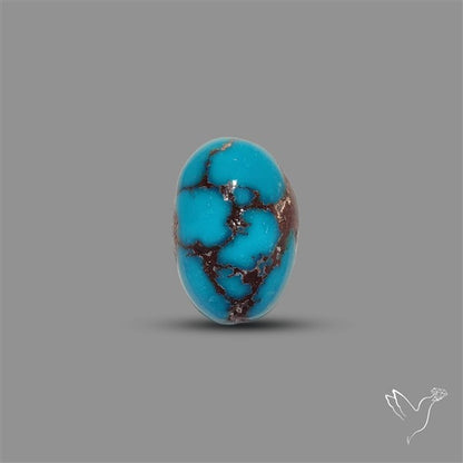 Rare Egyptian Turquoise Cabochon from Sinai Peninsula
