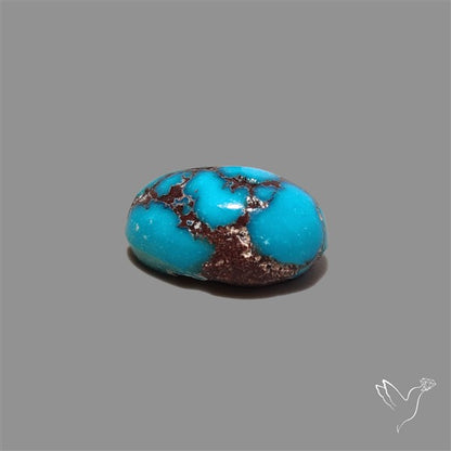 Rare Egyptian Turquoise Cabochon from Sinai Peninsula