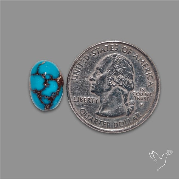 Rare Egyptian Turquoise Cabochon from Sinai Peninsula