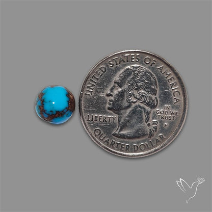 Rare Egyptian Turquoise Cabochon from Sinai Peninsula