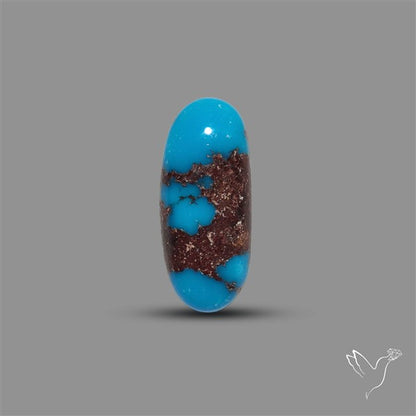 Rare Egyptian Turquoise Cabochon from Sinai Peninsula