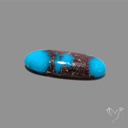 Rare Egyptian Turquoise Cabochon from Sinai Peninsula