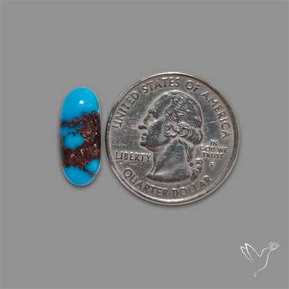 Rare Egyptian Turquoise Cabochon from Sinai Peninsula