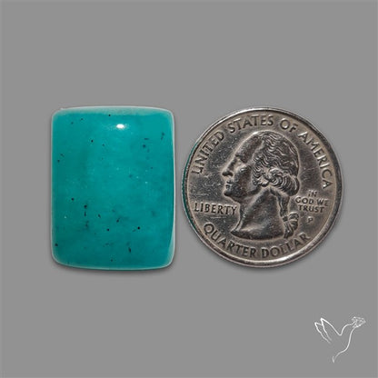 Peruvian Amazonite Cabochon