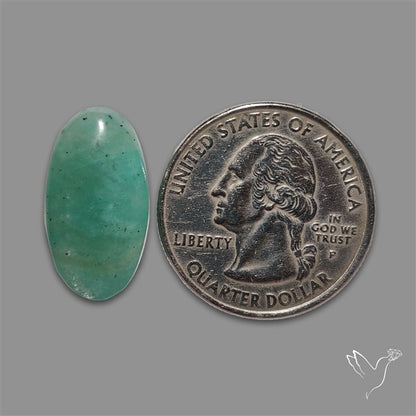 Peruvian Amazonite Cabochon
