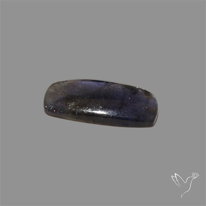 Sunstone In Iolite Cabochon