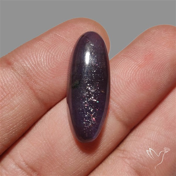 Sunstone In Iolite Cabochon