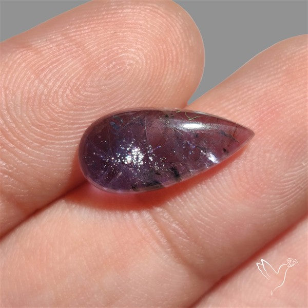 Sunstone In Iolite Cabochon
