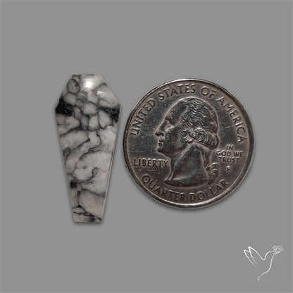 Pinolith Coffin Cabochon