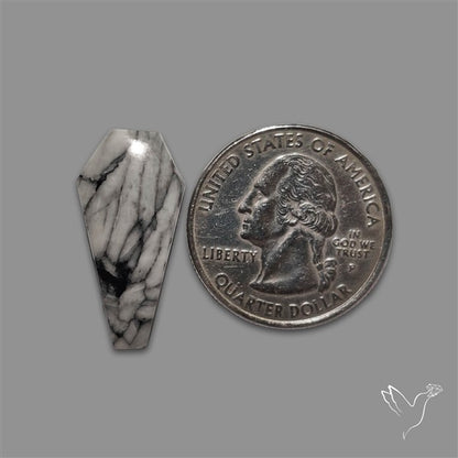 Pinolith Coffin Cabochon