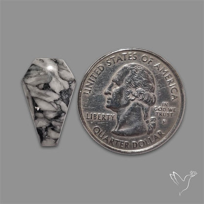 Pinolith Coffin Cabochon