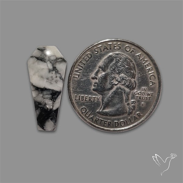 Pinolith Coffin Cabochon