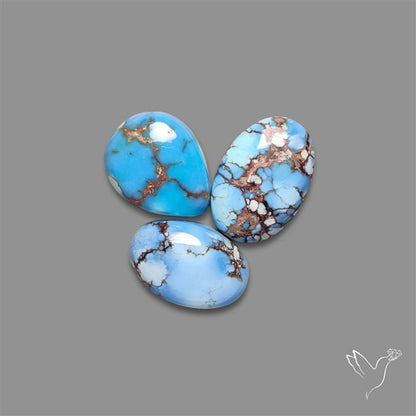 Golden Hill Turquoise Cabochons Lot