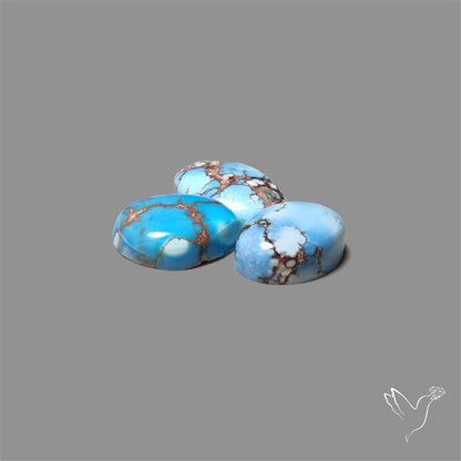 Golden Hill Turquoise Cabochons Lot