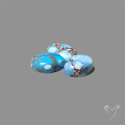 Golden Hill Turquoise Cabochons Lot