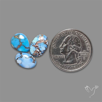 Golden Hill Turquoise Cabochons Lot