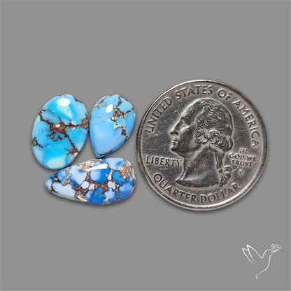 Golden Hill Turquoise Cabochons Lot