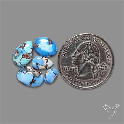 Golden Hill Turquoise Cabochons Lot