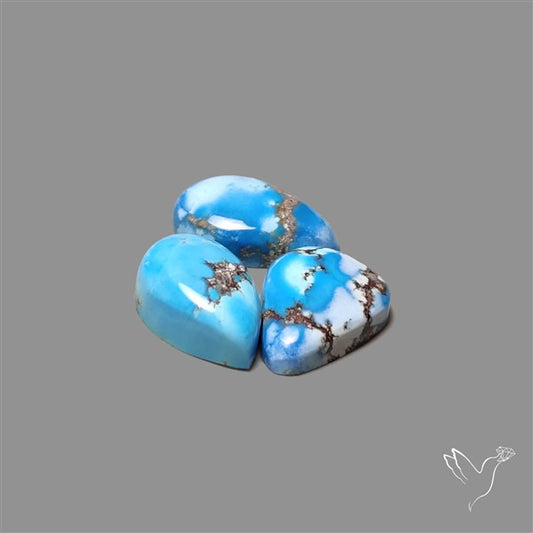 Golden Hill Turquoise Cabochons Lot