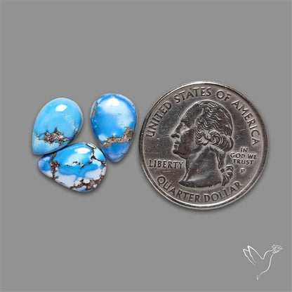 Golden Hill Turquoise Cabochons Lot