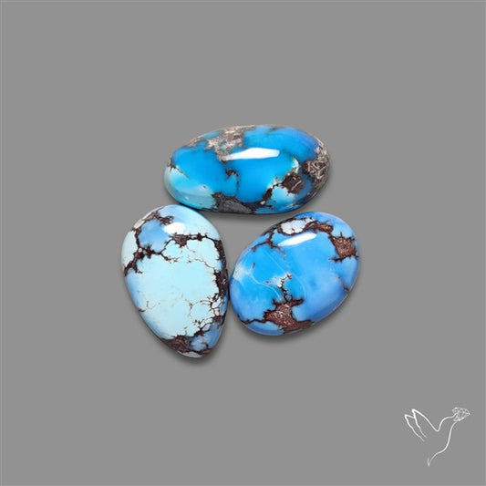 Golden Hill Turquoise Cabochons Lot